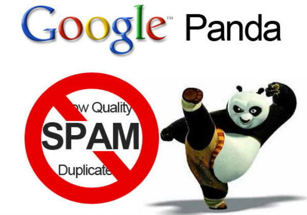 Google Panda Algorithm and Duplicate Content Detection